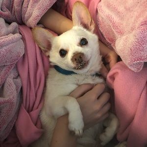 Meet your Posher, Alina